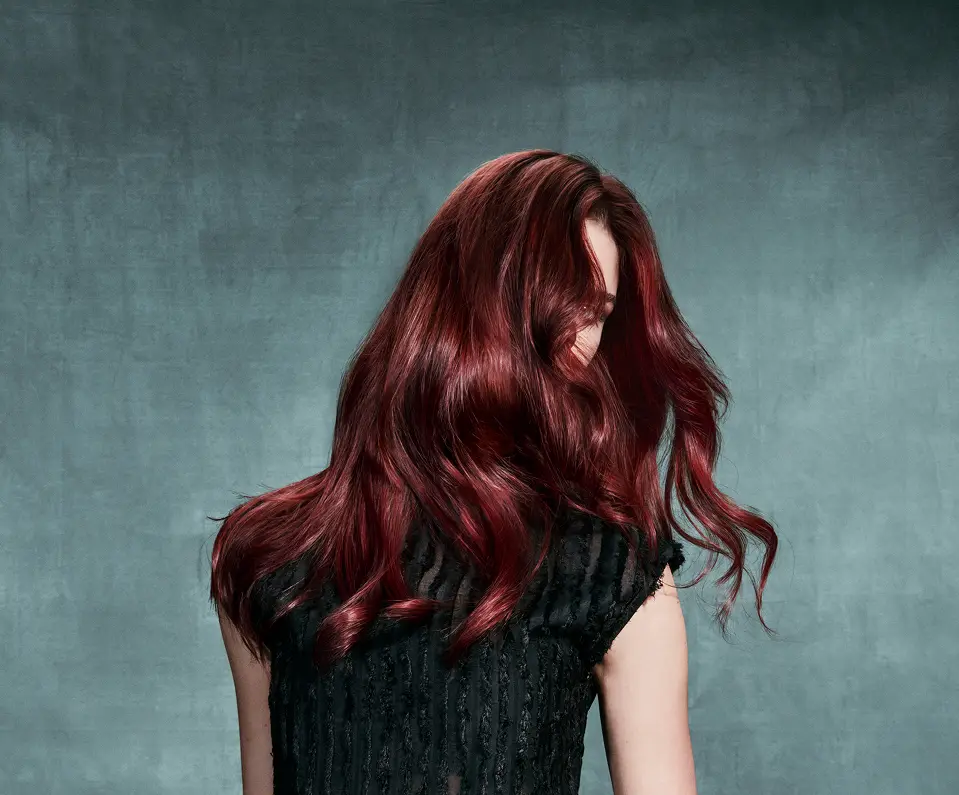 A person with long, wavy dark red hair faces away from the camera against a textured gray background. - Styles by Stacy - Poughkeepsie, NY